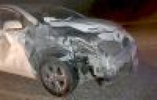 Otomobilin çarptığı domuz telef oldu