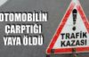 Otomobilin çarptığı kadın öldü..! 