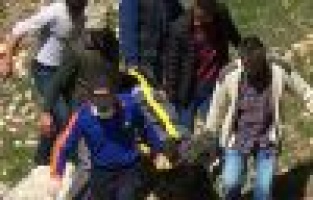 Pancar toplamak isterken kayalıklardan düştü