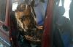 Park halindeki hafif ticari aracın yakıldığı iddiası