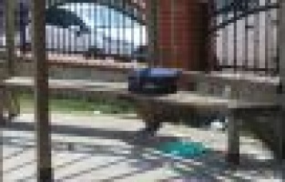 Parkta şüpheli valiz paniği