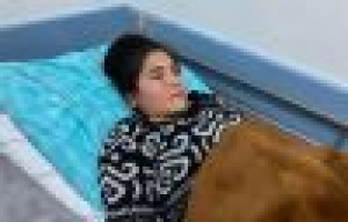 Pitbull okula giden öğrenciye saldırdı