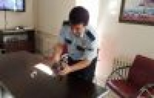 Polisler yaralı güvercini tedavi etti