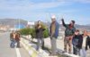 REFÜJ VE PARKLARDAKİ AĞAÇLAR BUDANIYOR