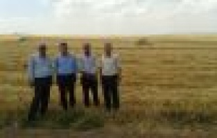 SAMSAT'TA HUBUBAT HASADI BAŞLADI