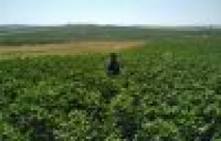 Samsat'ta vatandaşlar sulu tarıma yöneldi