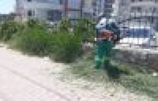 Şehir genelinde yabani otlarla mücadele sürüyor