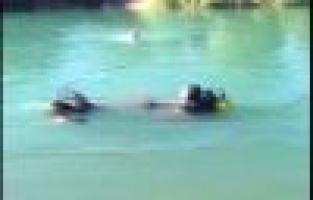 Serinlemek için girdiği çayda boğuldu