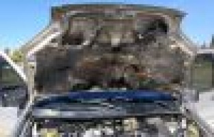 Seyir halindeki kamyonet alev aldı