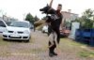 Sezar, uyuşturucu tacirlerinin korkulu rüyası oluyor 