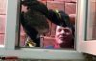 Sıkışan kirpiyi itfaiye kurtardı