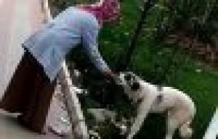 Simidini sokak köpeğiyle paylaştı