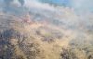 Sincik ilçesinde orman yangını söndürüldü