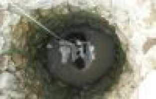 Su kuyusuna düşen inek kurtarıldı