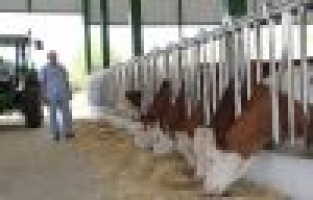 Suni tohumlama projesi çalışmaları meyvelerini vermeye başladı