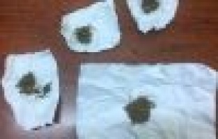 Şüpheli şahısların üzerinden esrar cıktı