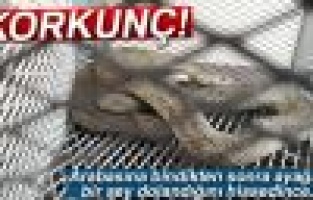 Sürücünün ayaklarına dolandı