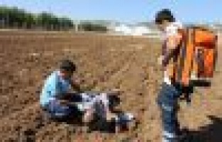 Tarla ortasında güneşlenen şahsı öldü sandılar