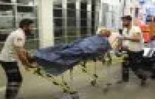 Tarla sularken yılan soktu