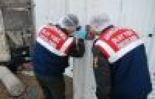 Tarladan 200 kilo fıstık çaldılar