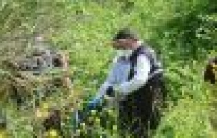 Toprağa gömülü bulundu