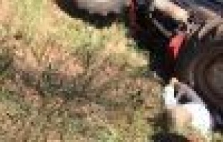 Traktör altında feci ölüm 