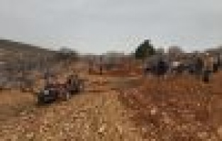 Traktör altında kalan veteriner hayatını kaybetti