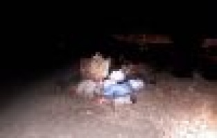 Türbe çevresindeki toplanmayan çöplere tepki