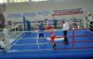 Türkiye Boks Şampiyonası Adıyaman'da Başladı