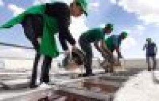 Tut’un beyaz altınında hasat zamanı