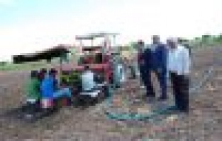 TÜTÜN EKİMİNE BAŞLANDI