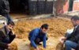 TÜTÜNÜN EKİMİ SERBEST, TİCARETİ YASAK