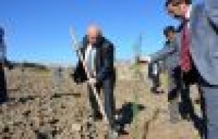 Üniversite Kampus Alanı İçerisinde Fidan Dikimi Yapıldı