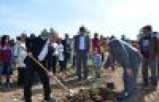 ÜNİVERSİTESİ ÖĞRENCİLERİNDEN FİDAN DİKME ETKİNLİĞİ