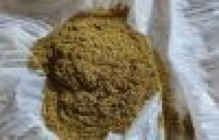 Uyuşturucu kullanan şahıslar yakalandı