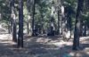 Uyuşturucu tacirleri kaçacak delik aradı