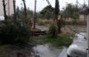 Üzerine yıldırım düşen ağaç parçalandı