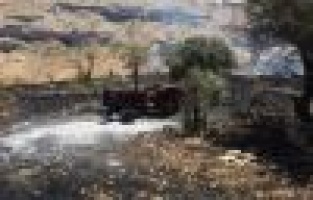 Üzüm ve badem bahçeleri küle döndü