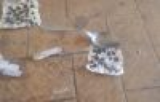 Valilik yakınlarında adeta uyuşturucu madde partisi veriliyor