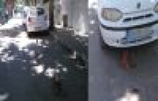 Vatandaşlar Dubalara Zarar Vermeye Devam Ediyor