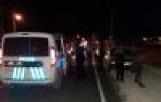 Vicdansız sürücü yoldan geçen hayvanlara çarpıp kaçtı