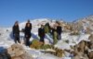 Yaban hayvanları için doğaya yem bıraktılar