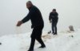 Yabani hayvanlar unutulmadı 