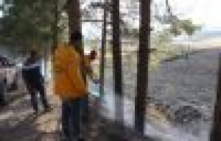 Yangın Ormanlık Alana Sıçramadan Son Anda Söndürüldü