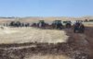 Yangında 50 dönümlük buğday ve arpa kül oldu