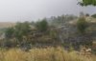 Yangını itfaiye ekipleri ile köylüler söndürdü