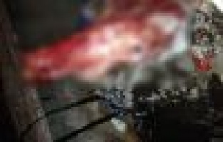 Yaptıkları haber yalan çıktı