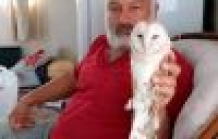Yaralı baykuş tedavi altına alındı