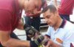 Yaralı güvercin tedavi edilip doğaya bırakıldı