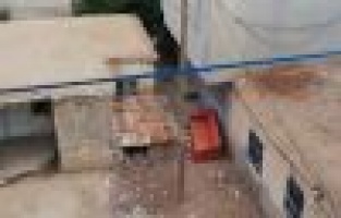 Yavru köpeği kürekle dövdü